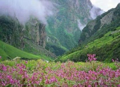 Darjeeling Gangtok & Pelling Tour