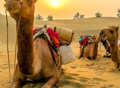 Honeymoon in Jaipur - Pushkar - Mount Abu - Udaipur Tour