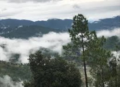 Nainital Almora Tour