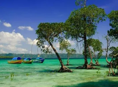 Splendid Andaman Island Tour