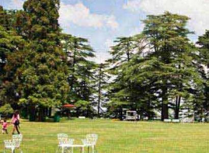 Chail Weekend Package