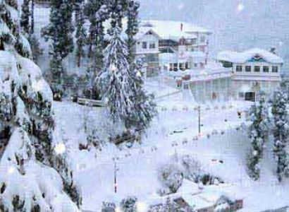 Delhi - Shimla - Manali - Chandigarh Tour