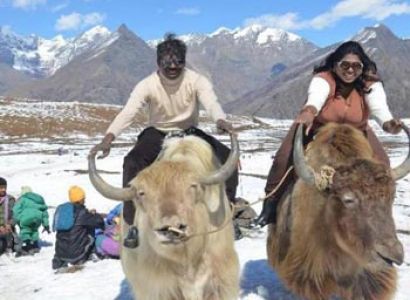 Delhi -Manali Honeymoon Tour