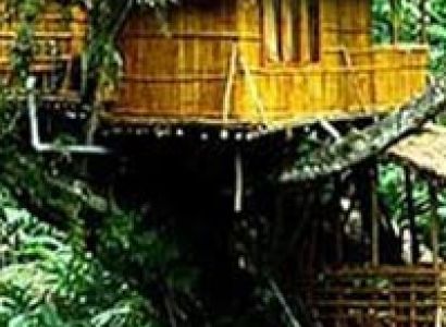Periyar Tour with Treehouse