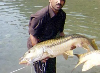 Kashmir Fishing Tour