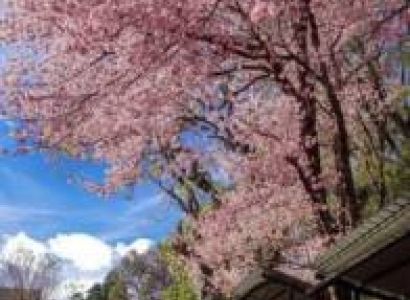 Guwahati Shillong Package