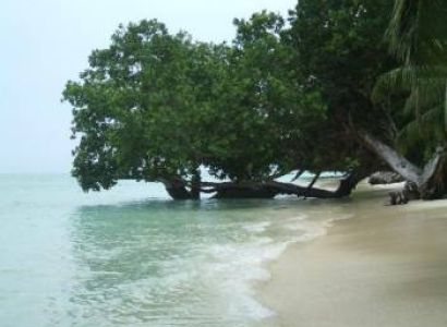 Honeymoon Packages Port Blair Package