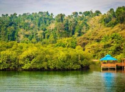 Day Trip to Baratang Island Package