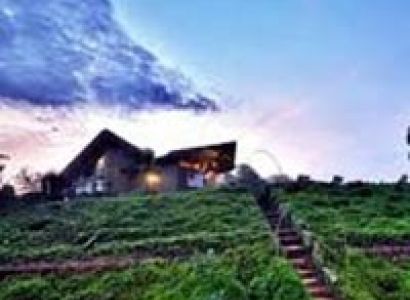 Blissful Days in Coorg Tour