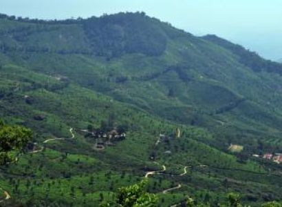 4day Munnar and Thekkady