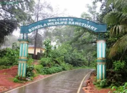 1 Day Wildlife package