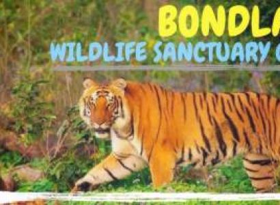 1 Day Wildlife package