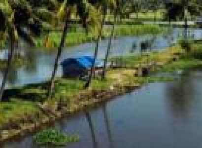 Cochin Munnar Thekkady Alleppey Package