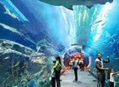 Dazzling Dubai (6 Nights / 7 Days) Tour