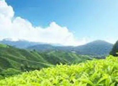 Munnar Tour Package