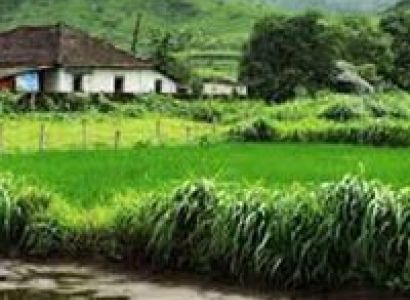 Stay Amidst Sugarcane Farms Tour