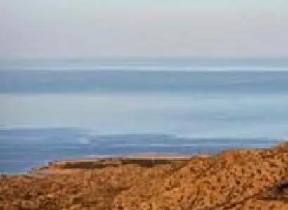 The Great White Escape Tour