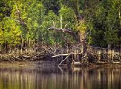 Royal Heritage of Bengal Tour