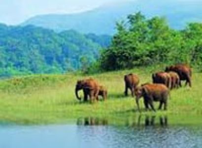 Kerala Periyar Tour
