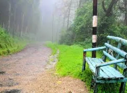 Tonglu With Rimbik Tour