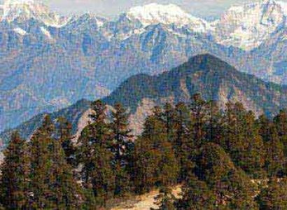 Himachal Gateway - Ex. Delhi Tour