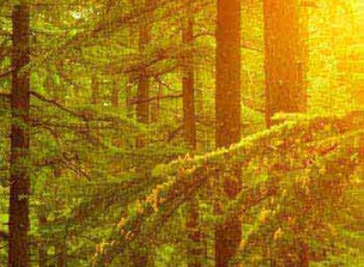 Best Of Himachal Tour