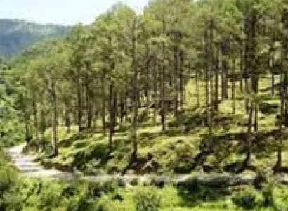 Uttranchal Splendour Package