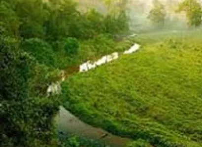 Dooars Tour With Chapramari