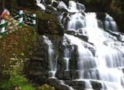 Kaziranga Rhino Tour