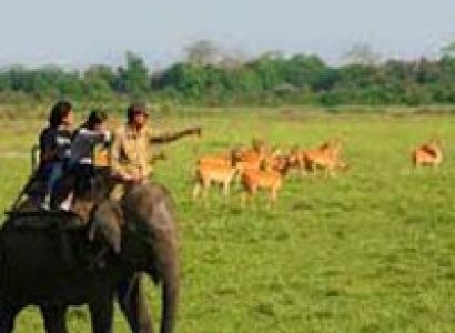 Assam Nagaland Tribal Tour