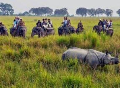 Kaziranga National Park Tour