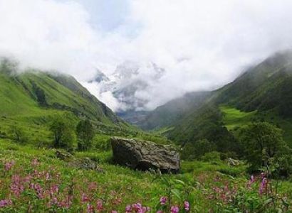 Valley Of Flowers Trekking Tours Package