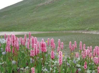 Madmaheshwar Nandi Kund Trekking Tours Package