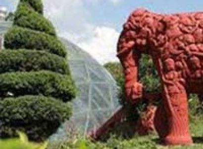 Chail Weekend Package from Delhi