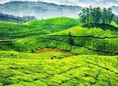 Magical Athirapally with Munnar Tour