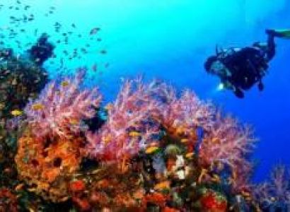 Scuba Diving Combo Daily Package from Goa (Standard Package)