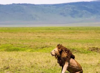 Kenya and Tanzania Epic Safari Tour