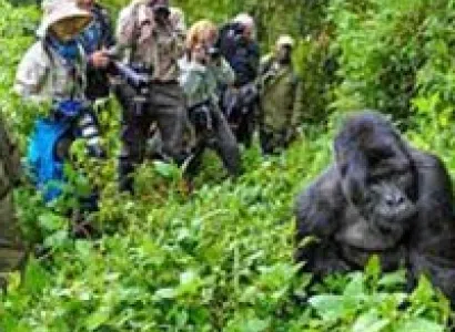 3 Days Nyirangongo Volcano – Congo Tour