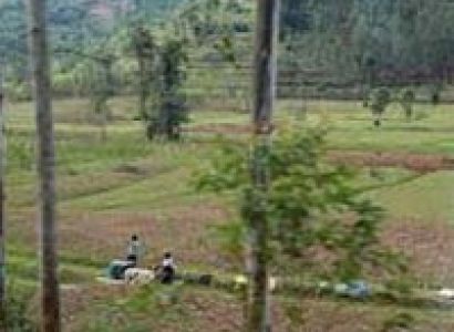 2 Nights Golden Monkey and Cultural Tour