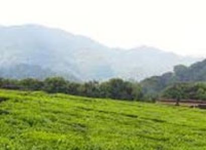 3 Days Rwanda Chimpanzee Safari Tour