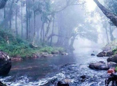 Attractions of Kerala Package