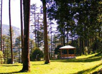 Dhanaulti Tour Packages