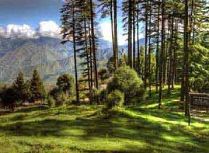 Mussoorie Dhanaulti Tour Packages