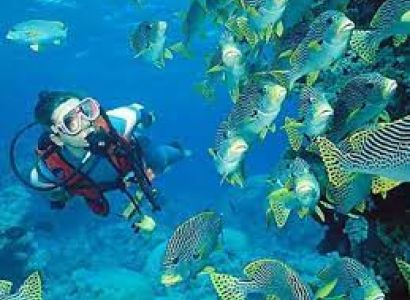 SCUBA Diving Tour