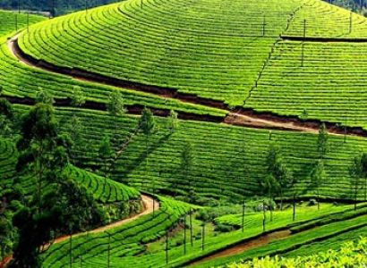 Journey Of North East Himalayan Tour 10 Night/ 11 Days