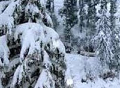 Peaceful Himachal Pradesh Volvo Package