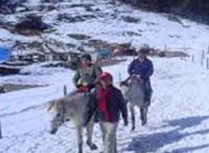 Exotic Shimla Tour Package by Volvo Tour