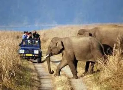 Nainital & Jim Corbett Tour