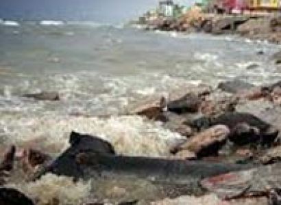 Ishrifall, Khandoli & Madhuban in Giridih Tour By  Car