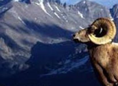 Ladakh Wonder Package